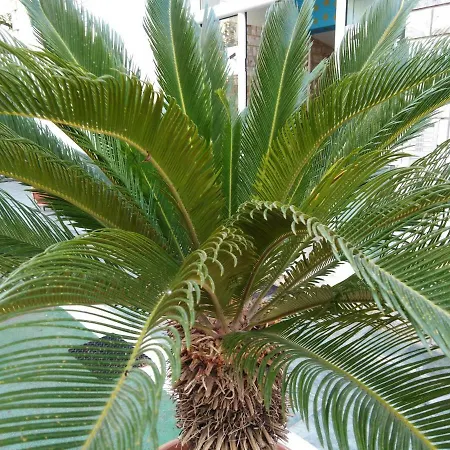 85 Sqm New Panorama Electric Car φωρτησησ Station Aparthotel