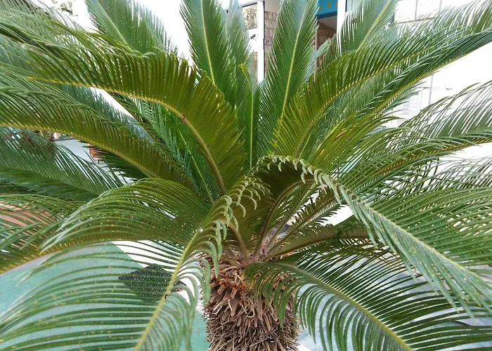 85 Sqm New Panorama Electric Car φωρτησησ Station מלון דירות